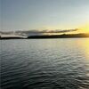 alyssaweeks330